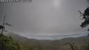 ./images/calvert/fitz-hugh-hecate/20250520/fitz-hugh-hecate20250520_163509M.jpg