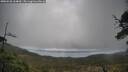 ./images/calvert/fitz-hugh-hecate/20250520/fitz-hugh-hecate20250520_164010M.jpg