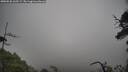./images/calvert/fitz-hugh-hecate/20250520/fitz-hugh-hecate20250520_165508M.jpg