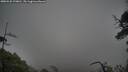 ./images/calvert/fitz-hugh-hecate/20250520/fitz-hugh-hecate20250520_170011M.jpg