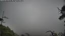 ./images/calvert/fitz-hugh-hecate/20250520/fitz-hugh-hecate20250520_171509M.jpg