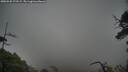 ./images/calvert/fitz-hugh-hecate/20250520/fitz-hugh-hecate20250520_172508M.jpg