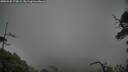 ./images/calvert/fitz-hugh-hecate/20250520/fitz-hugh-hecate20250520_173009M.jpg