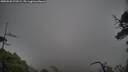 ./images/calvert/fitz-hugh-hecate/20250520/fitz-hugh-hecate20250520_173509M.jpg