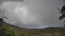 ./images/calvert/fitz-hugh-hecate/20250520/fitz-hugh-hecate20250520_174009M.jpg