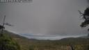 ./images/calvert/fitz-hugh-hecate/20250520/fitz-hugh-hecate20250520_174508M.jpg