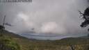 ./images/calvert/fitz-hugh-hecate/20250520/fitz-hugh-hecate20250520_175509M.jpg