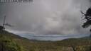 ./images/calvert/fitz-hugh-hecate/20250520/fitz-hugh-hecate20250520_180507M.jpg