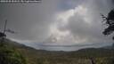 ./images/calvert/fitz-hugh-hecate/20250520/fitz-hugh-hecate20250520_181008M.jpg