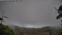 ./images/calvert/fitz-hugh-hecate/20250520/fitz-hugh-hecate20250520_181510M.jpg
