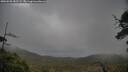 ./images/calvert/fitz-hugh-hecate/20250520/fitz-hugh-hecate20250520_182508M.jpg