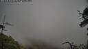 ./images/calvert/fitz-hugh-hecate/20250520/fitz-hugh-hecate20250520_183009M.jpg