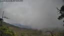 ./images/calvert/fitz-hugh-hecate/20250520/fitz-hugh-hecate20250520_183510M.jpg