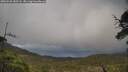 ./images/calvert/fitz-hugh-hecate/20250520/fitz-hugh-hecate20250520_185508M.jpg