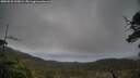 ./images/calvert/fitz-hugh-hecate/20250520/fitz-hugh-hecate20250520_190009M.jpg