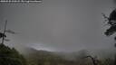 ./images/calvert/fitz-hugh-hecate/20250520/fitz-hugh-hecate20250520_190508M.jpg