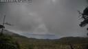 ./images/calvert/fitz-hugh-hecate/20250520/fitz-hugh-hecate20250520_192009M.jpg