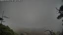 ./images/calvert/fitz-hugh-hecate/20250520/fitz-hugh-hecate20250520_192506M.jpg