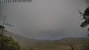 ./images/calvert/fitz-hugh-hecate/20250520/fitz-hugh-hecate20250520_193009M.jpg