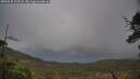 ./images/calvert/fitz-hugh-hecate/20250520/fitz-hugh-hecate20250520_193507M.jpg
