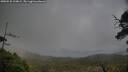 ./images/calvert/fitz-hugh-hecate/20250520/fitz-hugh-hecate20250520_194008M.jpg