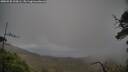 ./images/calvert/fitz-hugh-hecate/20250520/fitz-hugh-hecate20250520_194506M.jpg
