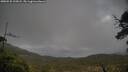 ./images/calvert/fitz-hugh-hecate/20250520/fitz-hugh-hecate20250520_195007M.jpg