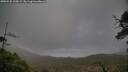 ./images/calvert/fitz-hugh-hecate/20250520/fitz-hugh-hecate20250520_200009M.jpg