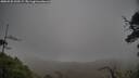 ./images/calvert/fitz-hugh-hecate/20250520/fitz-hugh-hecate20250520_200506M.jpg
