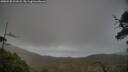 ./images/calvert/fitz-hugh-hecate/20250520/fitz-hugh-hecate20250520_201008M.jpg