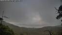 ./images/calvert/fitz-hugh-hecate/20250520/fitz-hugh-hecate20250520_202008M.jpg