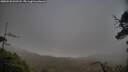 ./images/calvert/fitz-hugh-hecate/20250520/fitz-hugh-hecate20250520_202508M.jpg
