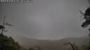 ./images/calvert/fitz-hugh-hecate/20250520/fitz-hugh-hecate20250520_203008M.jpg