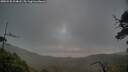./images/calvert/fitz-hugh-hecate/20250520/fitz-hugh-hecate20250520_204008M.jpg
