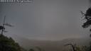 ./images/calvert/fitz-hugh-hecate/20250520/fitz-hugh-hecate20250520_204508M.jpg