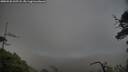 ./images/calvert/fitz-hugh-hecate/20250520/fitz-hugh-hecate20250520_205508M.jpg