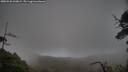 ./images/calvert/fitz-hugh-hecate/20250520/fitz-hugh-hecate20250520_210008M.jpg