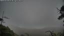 ./images/calvert/fitz-hugh-hecate/20250520/fitz-hugh-hecate20250520_210508M.jpg
