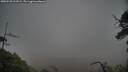 ./images/calvert/fitz-hugh-hecate/20250520/fitz-hugh-hecate20250520_211008M.jpg