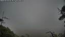 ./images/calvert/fitz-hugh-hecate/20250520/fitz-hugh-hecate20250520_211508M.jpg