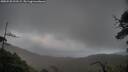 ./images/calvert/fitz-hugh-hecate/20250520/fitz-hugh-hecate20250520_212508M.jpg