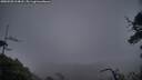 ./images/calvert/fitz-hugh-hecate/20250520/fitz-hugh-hecate20250520_214008M.jpg