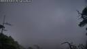 ./images/calvert/fitz-hugh-hecate/20250520/fitz-hugh-hecate20250520_214508M.jpg