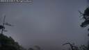 ./images/calvert/fitz-hugh-hecate/20250520/fitz-hugh-hecate20250520_215009M.jpg