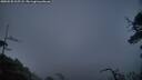 ./images/calvert/fitz-hugh-hecate/20250520/fitz-hugh-hecate20250520_215508M.jpg