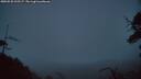 ./images/calvert/fitz-hugh-hecate/20250520/fitz-hugh-hecate20250520_220507M.jpg