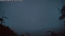./images/calvert/fitz-hugh-hecate/20250521/fitz-hugh-hecate20250521_045008M.jpg