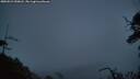 ./images/calvert/fitz-hugh-hecate/20250521/fitz-hugh-hecate20250521_050008M.jpg