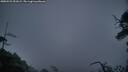 ./images/calvert/fitz-hugh-hecate/20250521/fitz-hugh-hecate20250521_051009M.jpg