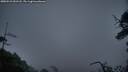 ./images/calvert/fitz-hugh-hecate/20250521/fitz-hugh-hecate20250521_051508M.jpg